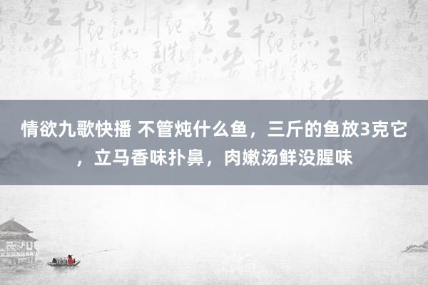 情欲九歌快播 不管炖什么鱼，三斤的鱼放3克它，立马香味扑鼻，肉嫩汤鲜没腥味