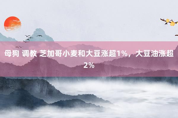 母狗 调教 芝加哥小麦和大豆涨超1%,大豆油涨超2%