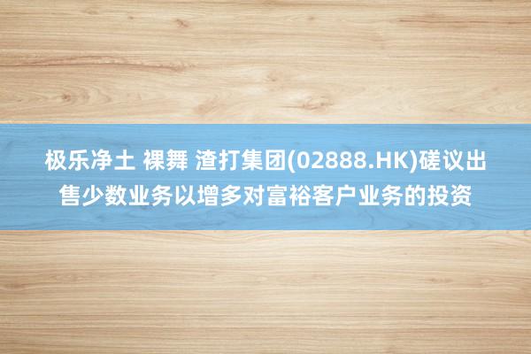 极乐净土 裸舞 渣打集团(02888.HK)磋议出售少数业务以增多对富裕客户业务的投资