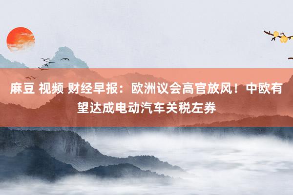 麻豆 视频 财经早报：欧洲议会高官放风！中欧有望达成电动汽车关税左券