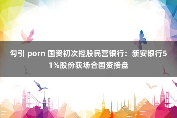 勾引 porn 国资初次控股民营银行：新安银行51%股份获场合国资接盘