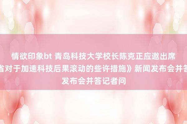 情欲印象bt 青岛科技大学校长陈克正应邀出席《山东省对于加速科技后果滚动的些许措施》新闻发布会并答记者问