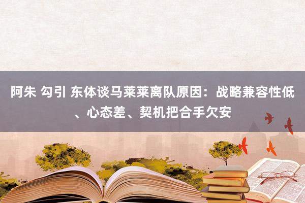 阿朱 勾引 东体谈马莱莱离队原因：战略兼容性低、心态差、契机把合手欠安