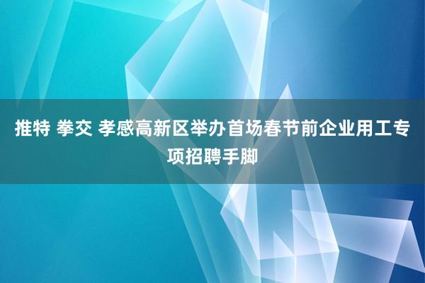 推特 拳交 孝感高新区举办首场春节前企业用工专项招聘手脚