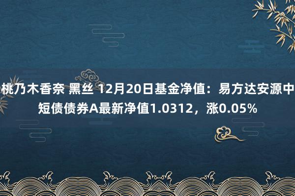 桃乃木香奈 黑丝 12月20日基金净值：易方达安源中短债债券A最新净值1.0312，涨0.05%