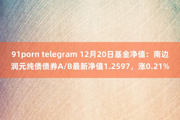 91porn telegram 12月20日基金净值：南边润元纯债债券A/B最新净值1.2597，涨0.21%