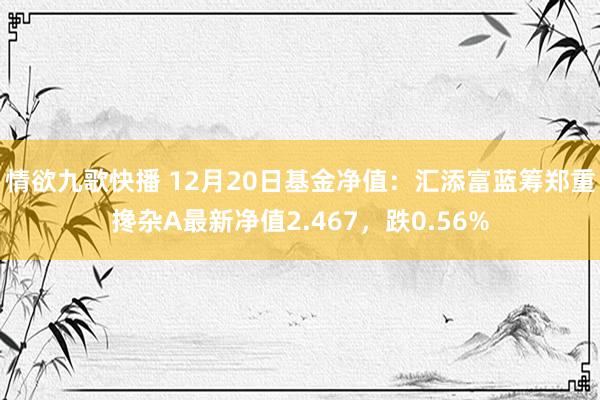 情欲九歌快播 12月20日基金净值：汇添富蓝筹郑重搀杂A最新净值2.467，跌0.56%