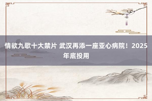 情欲九歌十大禁片 武汉再添一座亚心病院！2025年底投用