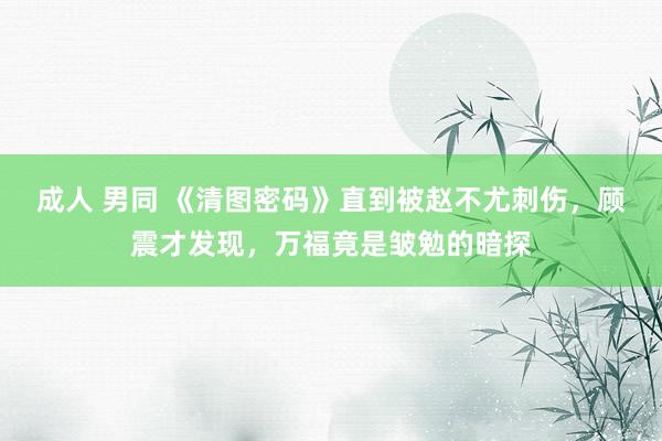 成人 男同 《清图密码》直到被赵不尤刺伤，顾震才发现，万福竟是皱勉的暗探