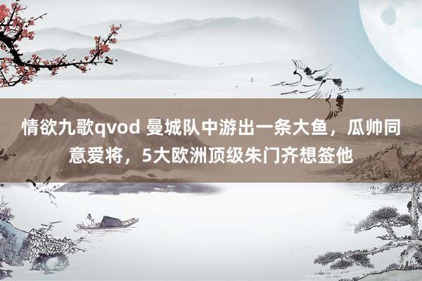 情欲九歌qvod 曼城队中游出一条大鱼，瓜帅同意爱将，5大欧洲顶级朱门齐想签他