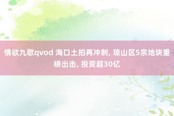 情欲九歌qvod 海口土拍再冲刺， 琼山区5宗地块重磅出击， 投资超30亿