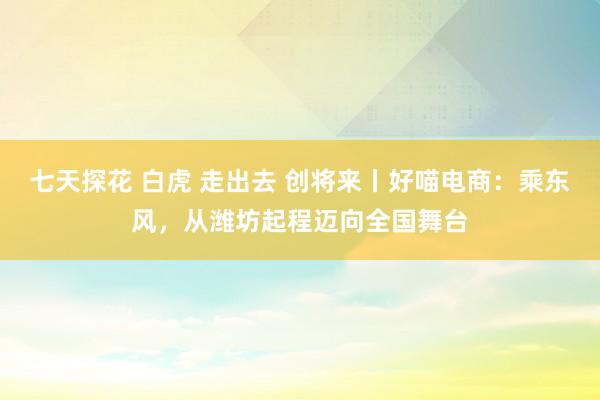 七天探花 白虎 走出去 创将来丨好喵电商:乘东风,从潍坊起程迈向全国舞台
