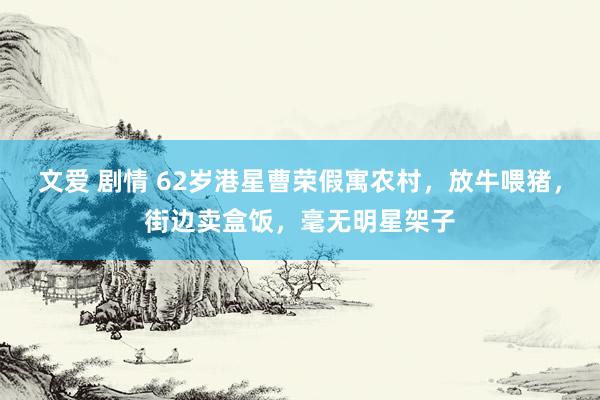 文爱 剧情 62岁港星曹荣假寓农村，放牛喂猪，街边卖盒饭，毫无明星架子