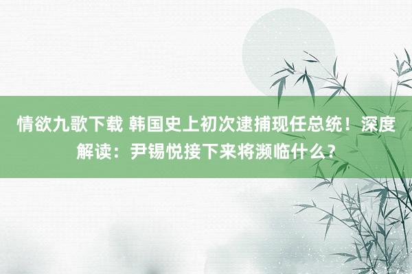 情欲九歌下载 韩国史上初次逮捕现任总统！深度解读：尹锡悦接下来将濒临什么？