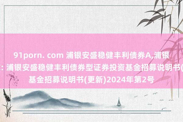 91porn. com 浦银安盛稳健丰利债券A,浦银安盛稳健丰利债券C: 浦银安盛稳健丰利债券型证券投资基金招募说明书(更新)2024年第2号