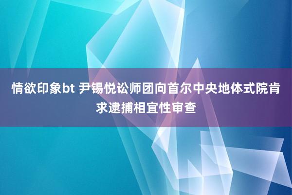 情欲印象bt 尹锡悦讼师团向首尔中央地体式院肯求逮捕相宜性审查
