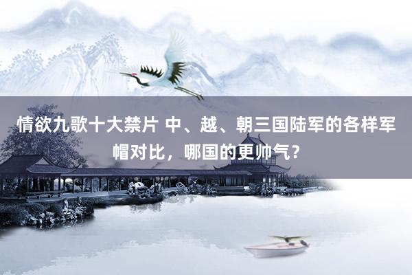 情欲九歌十大禁片 中、越、朝三国陆军的各样军帽对比，哪国的更帅气？