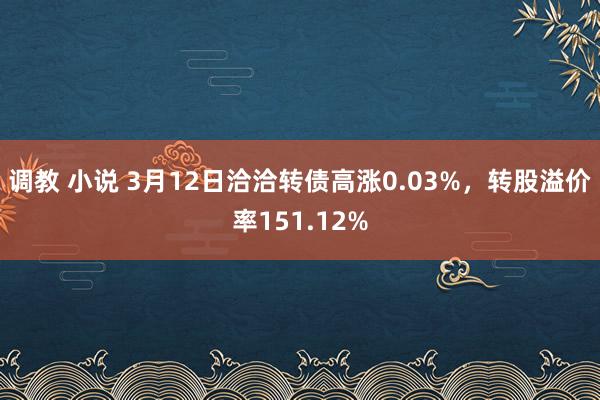 调教 小说 3月12日洽洽转债高涨0.03%，转股溢价率151.12%