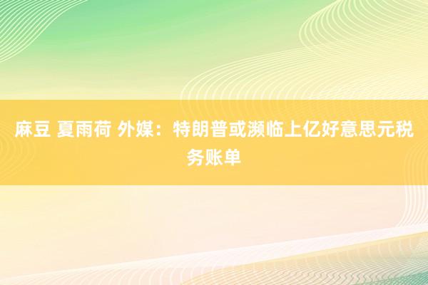 麻豆 夏雨荷 外媒：特朗普或濒临上亿好意思元税务账单