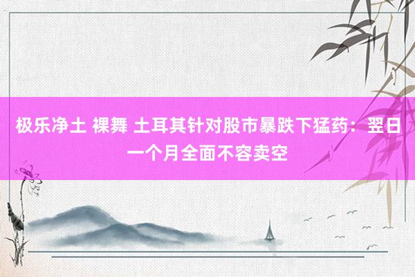 极乐净土 裸舞 土耳其针对股市暴跌下猛药：翌日一个月全面不容卖空
