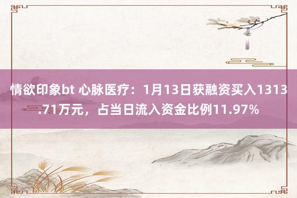 情欲印象bt 心脉医疗：1月13日获融资买入1313.71万元，占当日流入资金比例11.97%