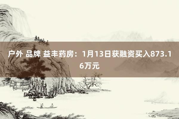 户外 品牌 益丰药房：1月13日获融资买入873.16万元