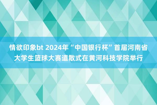 情欲印象bt 2024年“中国银行杯”首届河南省大学生篮球大赛遣散式在黄河科技学院举行