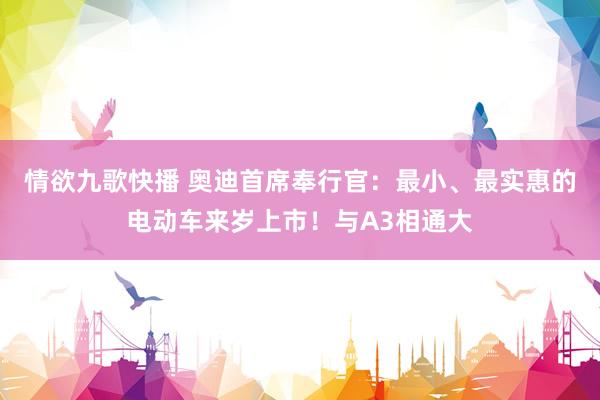 情欲九歌快播 奥迪首席奉行官：最小、最实惠的电动车来岁上市！与A3相通大