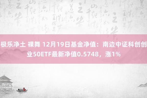 极乐净土 裸舞 12月19日基金净值：南边中证科创创业50ETF最新净值0.5748，涨1%