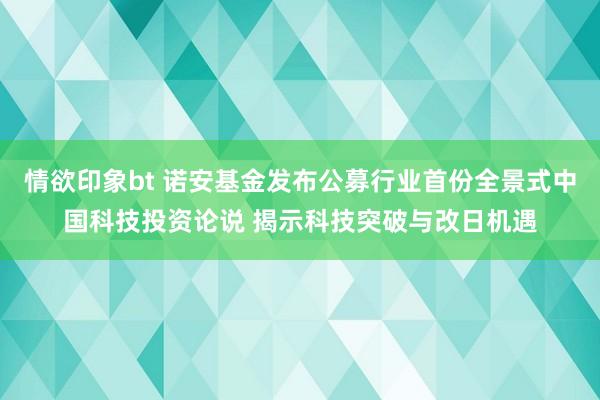 情欲印象bt 诺安基金发布公募行业首份全景式中国科技投资论说 揭示科技突破与改日机遇