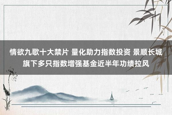 情欲九歌十大禁片 量化助力指数投资 景顺长城旗下多只指数增强基金近半年功绩拉风