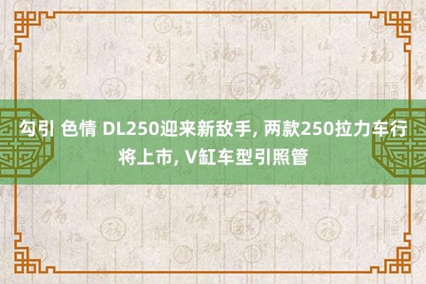 勾引 色情 DL250迎来新敌手， 两款250拉力车行将上市， V缸车型引照管