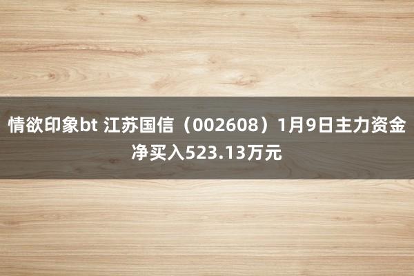 情欲印象bt 江苏国信（002608）1月9日主力资金净买入523.13万元