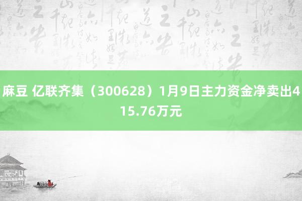 麻豆 亿联齐集（300628）1月9日主力资金净卖出415.76万元