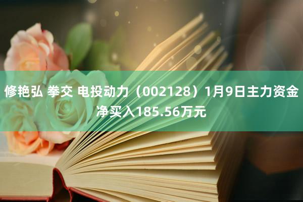 修艳弘 拳交 电投动力（002128）1月9日主力资金净买入185.56万元
