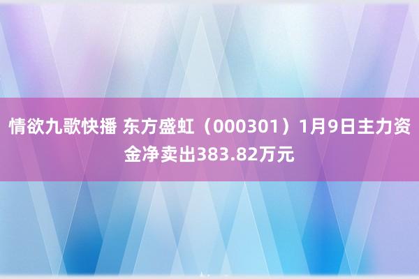 情欲九歌快播 东方盛虹（000301）1月9日主力资金净卖出383.82万元