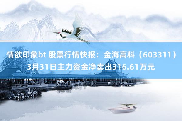 情欲印象bt 股票行情快报：金海高科（603311）3月31日主力资金净卖出316.61万元
