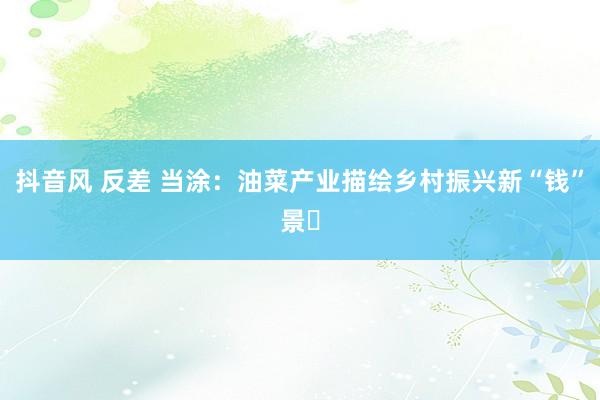 抖音风 反差 当涂：油菜产业描绘乡村振兴新“钱”景​
