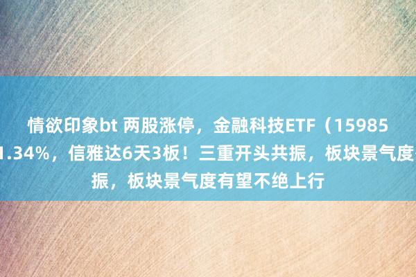 情欲印象bt 两股涨停，金融科技ETF（159851）放量反弹1.34%，信雅达6天3板！三重开头共振，板块景气度有望不绝上行