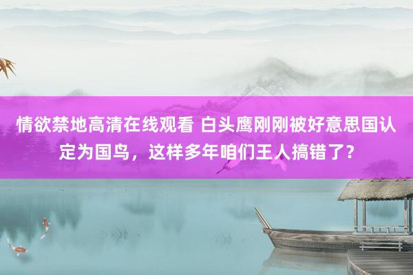 情欲禁地高清在线观看 白头鹰刚刚被好意思国认定为国鸟，这样多年咱们王人搞错了？