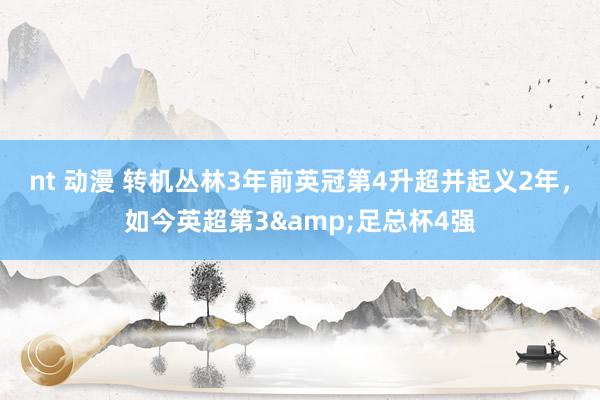 nt 动漫 转机丛林3年前英冠第4升超并起义2年，如今英超第3&足总杯4强