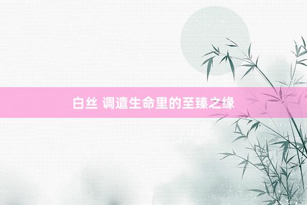 白丝 调遣生命里的至臻之缘