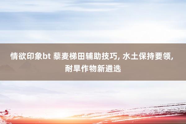 情欲印象bt 藜麦梯田辅助技巧， 水土保持要领， 耐旱作物新遴选