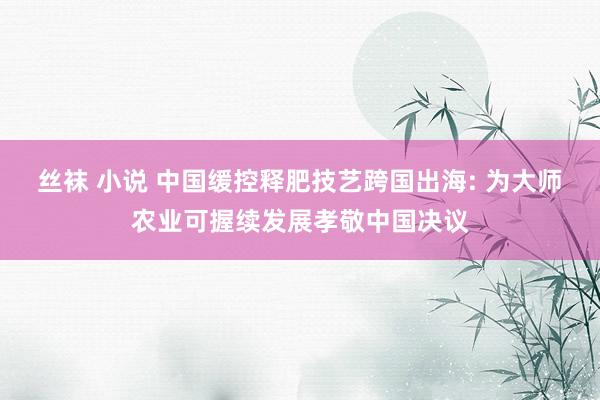 丝袜 小说 中国缓控释肥技艺跨国出海: 为大师农业可握续发展孝敬中国决议