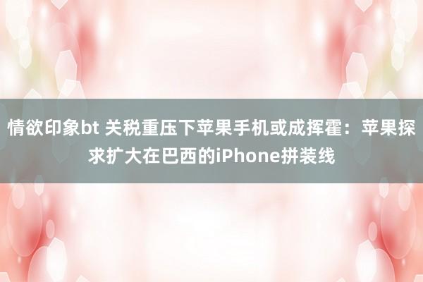 情欲印象bt 关税重压下苹果手机或成挥霍：苹果探求扩大在巴西的iPhone拼装线
