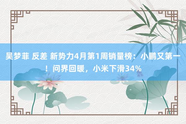 吴梦菲 反差 新势力4月第1周销量榜：小鹏又第一！问界回暖，小米下滑34%