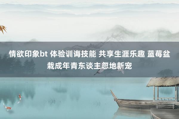 情欲印象bt 体验训诲技能 共享生涯乐趣 蓝莓盆栽成年青东谈主忽地新宠