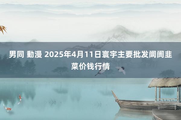 男同 動漫 2025年4月11日寰宇主要批发阛阓韭菜价钱行情