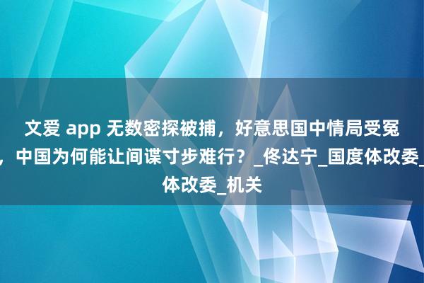 文爱 app 无数密探被捕，好意思国中情局受冤负屈，中国为何能让间谍寸步难行？_佟达宁_国度体改委_机关