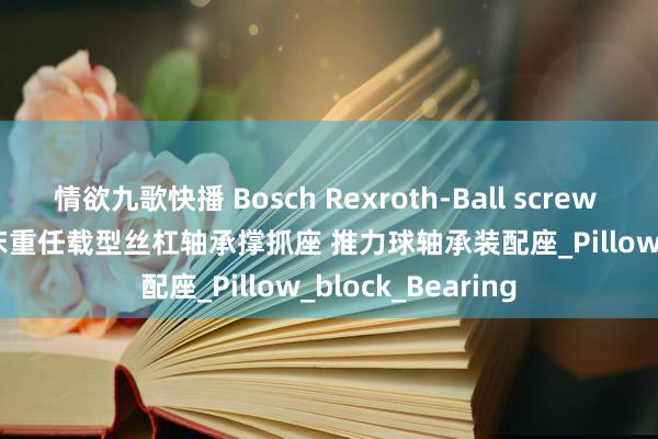 情欲九歌快播 Bosch Rexroth-Ball screw accessories 机床重任载型丝杠轴承撑抓座 推力球轴承装配座_Pillow_block_Bearing
